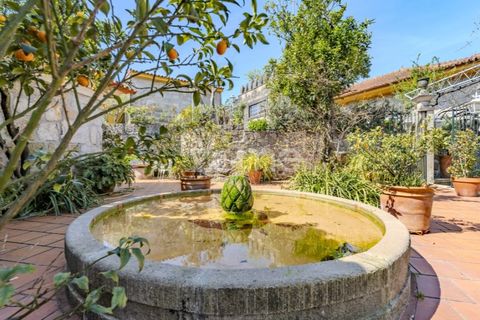 Farm i Curvos, Braga, Curvos - € 1.100.000 | Ref: ZMPT590441 - foto 16