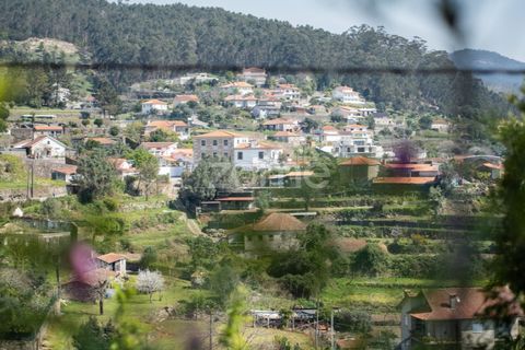 Farm i Curvos, Braga, Curvos - € 1.100.000 | Ref: ZMPT590441 - foto 25