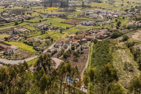 Farm i Curvos, Braga, Curvos - € 1.100.000 | Ref: ZMPT590441 - foto 38