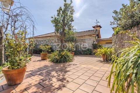 Farm i Curvos, Braga, Curvos - € 1.100.000 | Ref: ZMPT590441 - foto 41