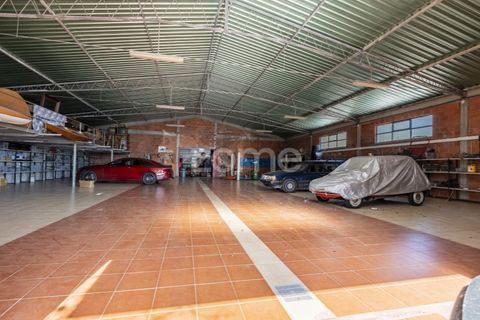 Farm i Curvos, Braga, Curvos - € 1.100.000 | Ref: ZMPT590441 - foto 43