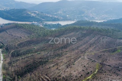 Helårsgrund i Penafiel, Porto, Penafiel - € 50.000 | Ref: ZMPT586272 - foto 1