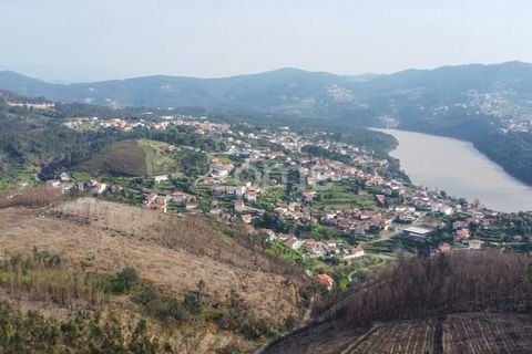 Helårsgrund i Penafiel, Porto, Penafiel - € 50.000 | Ref: ZMPT586272 - foto 2