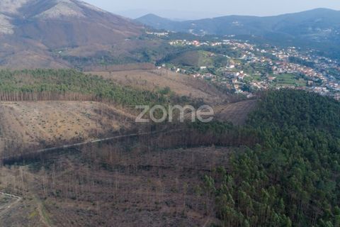 Helårsgrund i Penafiel, Porto, Penafiel - € 50.000 | Ref: ZMPT586272 - foto 3