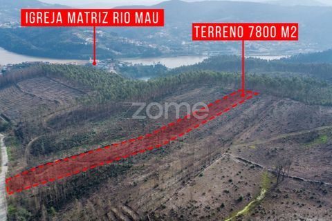Helårsgrund i Penafiel, Porto, Penafiel - € 50.000 | Ref: ZMPT586272 - foto 4