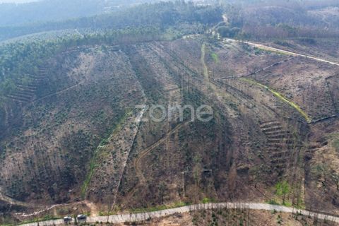 Helårsgrund i Penafiel, Porto, Penafiel - € 50.000 | Ref: ZMPT586272 - foto 5