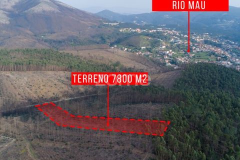 Helårsgrund i Penafiel, Porto, Penafiel - € 50.000 | Ref: ZMPT586272 - foto 7