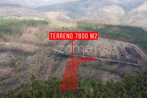 Helårsgrund i Penafiel, Porto, Penafiel - € 50.000 | Ref: ZMPT586272 - foto 8