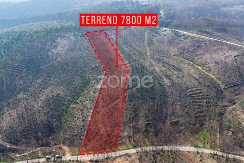 Helårsgrund i Penafiel, Porto, Penafiel - € 50.000 | Ref: ZMPT586272 - foto 9