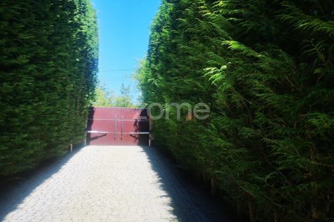 Farm i Baiao, Porto, Baiao - € 690.000 | Ref: ZMPT540733 - foto 5