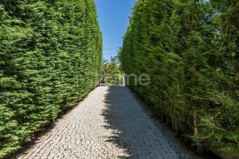 Farm i Baiao, Porto, Baiao - € 690.000 | Ref: ZMPT540733 - foto 6