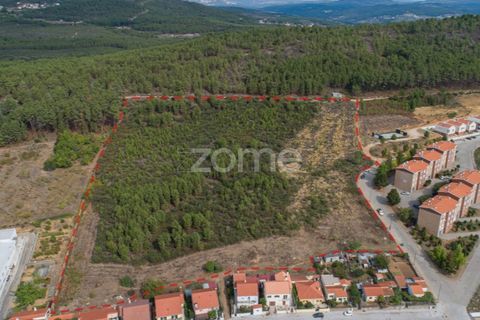 Grond in Sabrosa, Vila Real, Sabrosa - € 580.000 | Ref: ZMPT554109 - foto 1