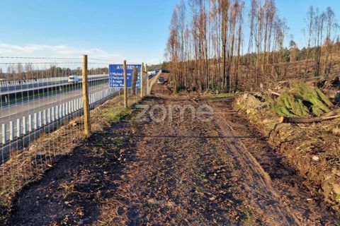Helårsgrund i Aguiar de Sousa, Porto, Aguiar de Sousa - € 950.000 | Ref: ZMPT554237 - foto 4