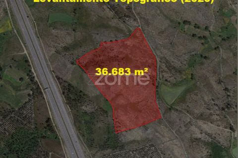Helårsgrund i Aguiar de Sousa, Porto, Aguiar de Sousa - € 950.000 | Ref: ZMPT554237 - foto 6