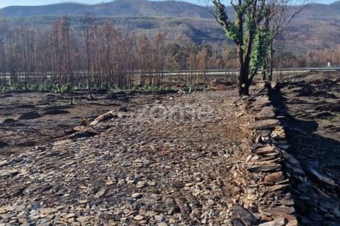 Helårsgrund i Aguiar de Sousa, Porto, Aguiar de Sousa - € 950.000 | Ref: ZMPT554237 - foto 13