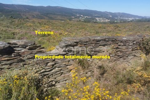 Helårsgrund i Aguiar de Sousa, Porto, Aguiar de Sousa - € 950.000 | Ref: ZMPT554237 - foto 18