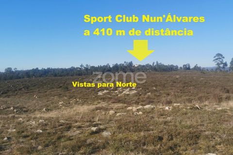 Helårsgrund i Aguiar de Sousa, Porto, Aguiar de Sousa - € 950.000 | Ref: ZMPT554237 - foto 20