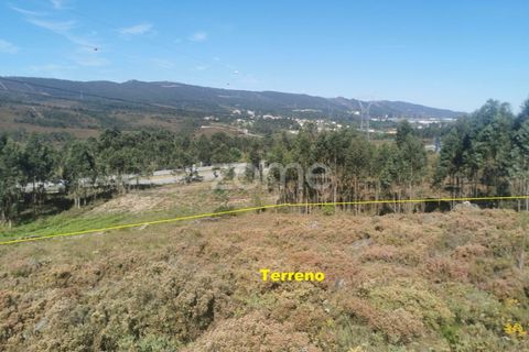 Helårsgrund i Aguiar de Sousa, Porto, Aguiar de Sousa - € 950.000 | Ref: ZMPT554237 - foto 24