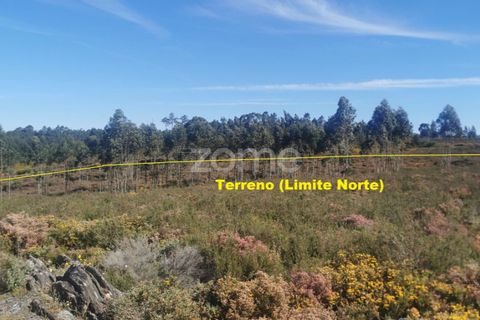 Helårsgrund i Aguiar de Sousa, Porto, Aguiar de Sousa - € 950.000 | Ref: ZMPT554237 - foto 25