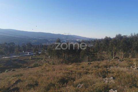 Helårsgrund i Aguiar de Sousa, Porto, Aguiar de Sousa - € 950.000 | Ref: ZMPT554237 - foto 26