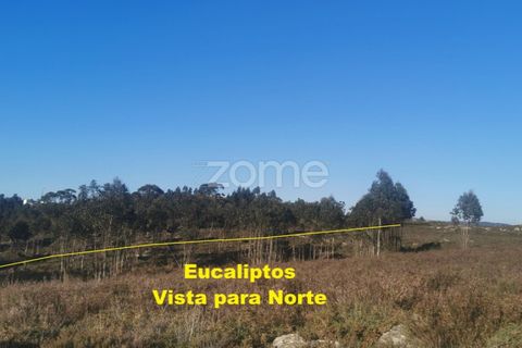 Helårsgrund i Aguiar de Sousa, Porto, Aguiar de Sousa - € 950.000 | Ref: ZMPT554237 - foto 27