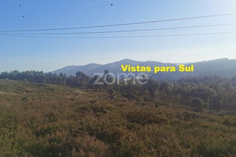 Helårsgrund i Aguiar de Sousa, Porto, Aguiar de Sousa - € 950.000 | Ref: ZMPT554237 - foto 30