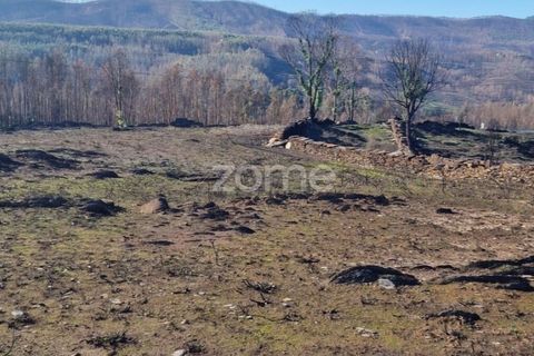 Helårsgrund i Aguiar de Sousa, Porto, Aguiar de Sousa - € 950.000 | Ref: ZMPT554237 - foto 38