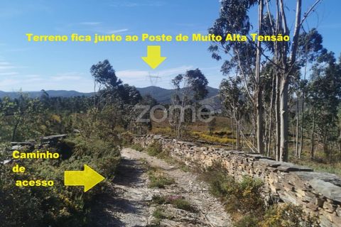 Helårsgrund i Aguiar de Sousa, Porto, Aguiar de Sousa - € 950.000 | Ref: ZMPT554237 - foto 49