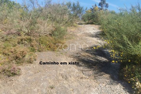 Helårsgrund i Aguiar de Sousa, Porto, Aguiar de Sousa - € 950.000 | Ref: ZMPT554237 - foto 50