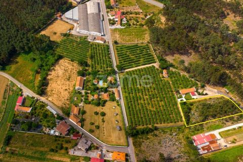 Helårsgrund i Agueda, Aveiro, Agueda - € 59.500 | Ref: ZMPT559456 - foto 1
