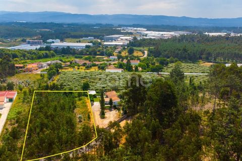 Helårsgrund i Agueda, Aveiro, Agueda - € 59.500 | Ref: ZMPT559456 - foto 14