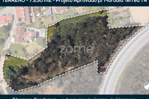 Helårsgrund i Fanzeres, Porto, Fanzeres - € 150.000 | Ref: ZMPT562792 - foto 27