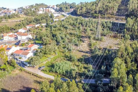 Helårsgrund i Fanzeres, Porto, Fanzeres - € 150.000 | Ref: ZMPT562792 - foto 36