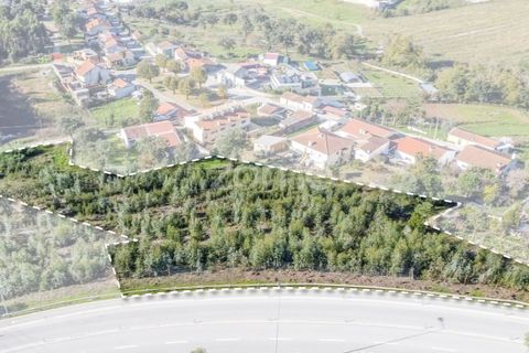 Helårsgrund i Fanzeres, Porto, Fanzeres - € 150.000 | Ref: ZMPT562792 - foto 41