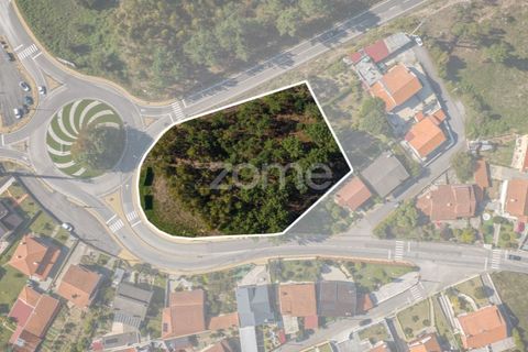 Helårsgrund i Nogueira do Cravo e Pindelo, Aveiro, Nogueira do Cravo e Pindelo - € 185.000 | Ref: ZMPT581775 - foto 1