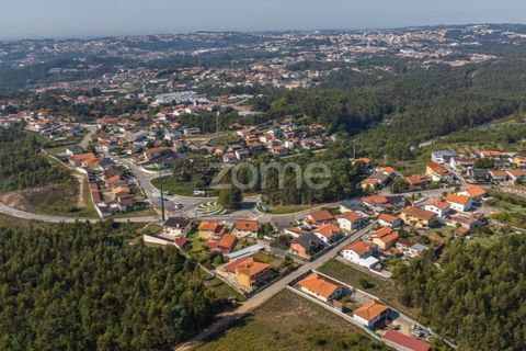 Helårsgrund i Nogueira do Cravo e Pindelo, Aveiro, Nogueira do Cravo e Pindelo - € 185.000 | Ref: ZMPT581775 - foto 15