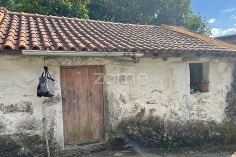 Villa i Ponte da Barca, Viana do Castelo, Ponte da Barca - € 39.000 | Ref: ZMPT550676 - foto 11