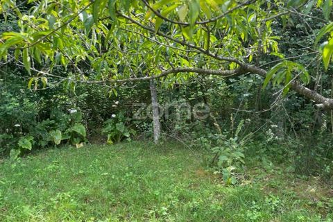Villa i Ponte da Barca, Viana do Castelo, Ponte da Barca - € 39.000 | Ref: ZMPT550676 - foto 28