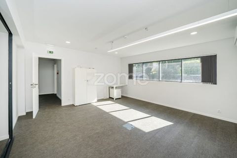 Bungalou a Ferreiros, Braga, Ferreiros - € 9.500/mes | Ref: ZMPT575919 - foto 42