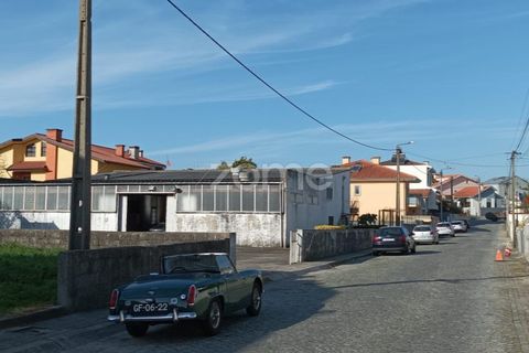 Terra a Perafita, Porto, Perafita - € 95.000 | Ref: ZMPT574547 - foto 6