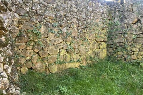 Villa i Montalegre, Vila Real, Montalegre - € 60.000 | Ref: ZMPT565509 - foto 3