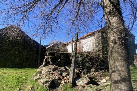 Villa i Montalegre, Vila Real, Montalegre - € 60.000 | Ref: ZMPT565509 - foto 9