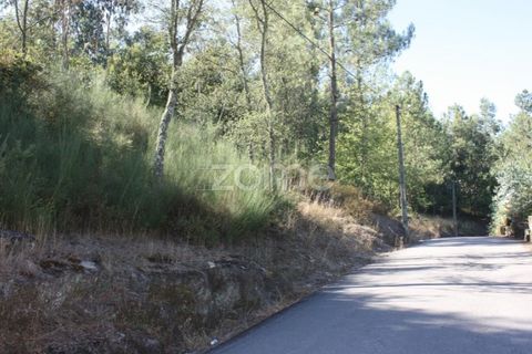 Helårsgrund i Penafiel, Porto, Penafiel - € 240.000 | Ref: ZMPT516299 - foto 5