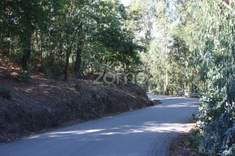 Helårsgrund i Penafiel, Porto, Penafiel - € 240.000 | Ref: ZMPT516299 - foto 6