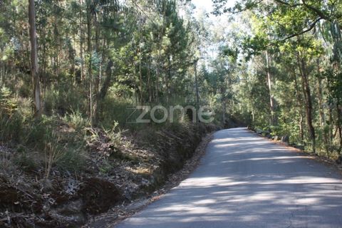 Helårsgrund i Penafiel, Porto, Penafiel - € 240.000 | Ref: ZMPT516299 - foto 7