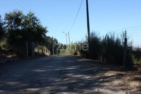 Helårsgrund i Penafiel, Porto, Penafiel - € 240.000 | Ref: ZMPT516299 - foto 8