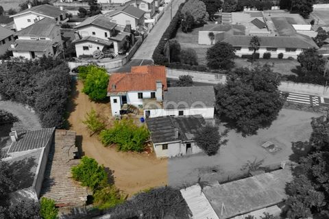Villa i Santo Tirso, Porto, Santo Tirso - € 174.900 | Ref: ZMPT579631 - foto 14