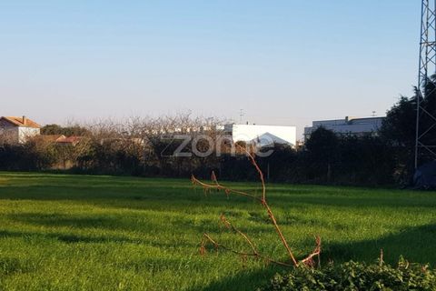 Grond in Lavra, Porto, Lavra - € 370.000 | Ref: ZMPT533331 - foto 3
