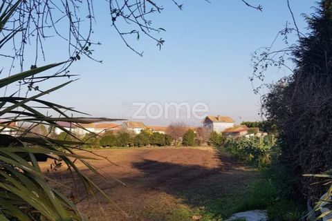 Grond in Lavra, Porto, Lavra - € 370.000 | Ref: ZMPT533331 - foto 9