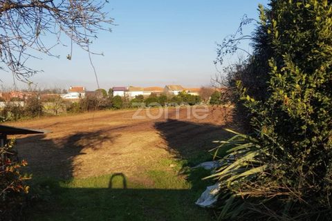 Grond in Lavra, Porto, Lavra - € 370.000 | Ref: ZMPT533331 - foto 10